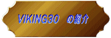VIKING30@̏Љ 